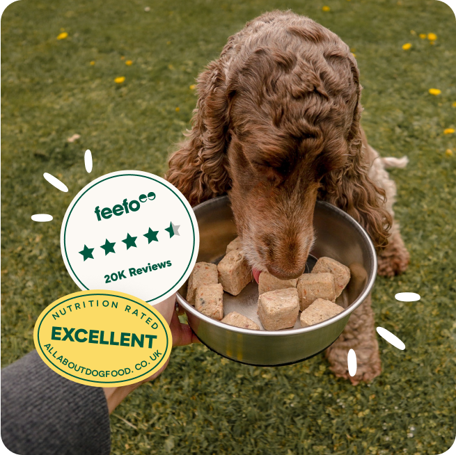 Rated excellent by experts & pet parents
